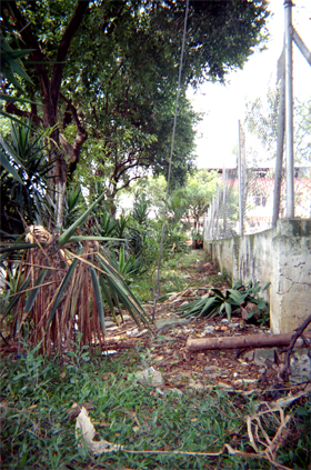 377-7.jpg