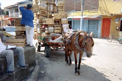 468-14.jpg