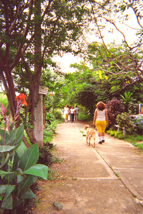 036-11.jpg