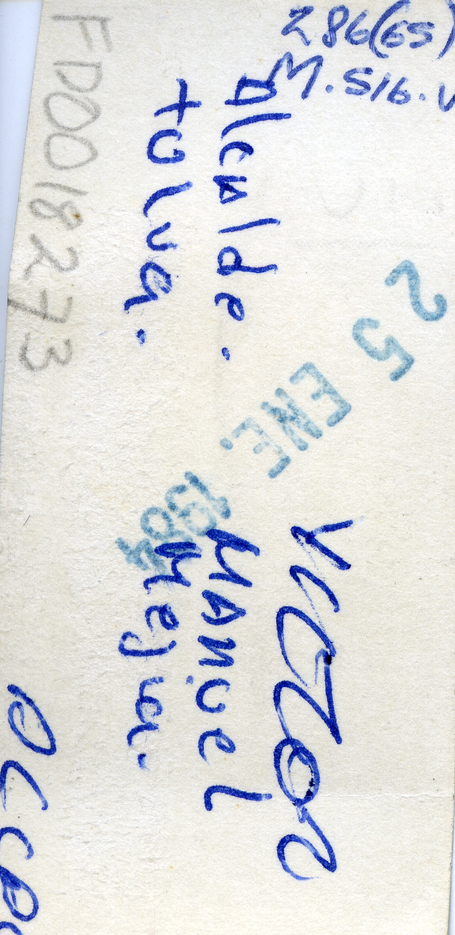 FDO018273A.jpg