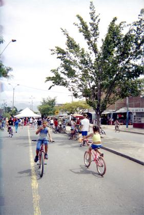 299-9.jpg