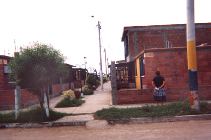 489-8.jpg