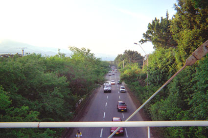 367-7.jpg