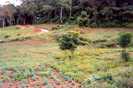 506-26.jpg