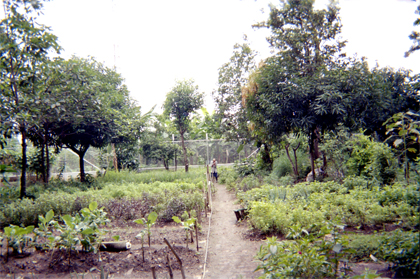 303-15.jpg
