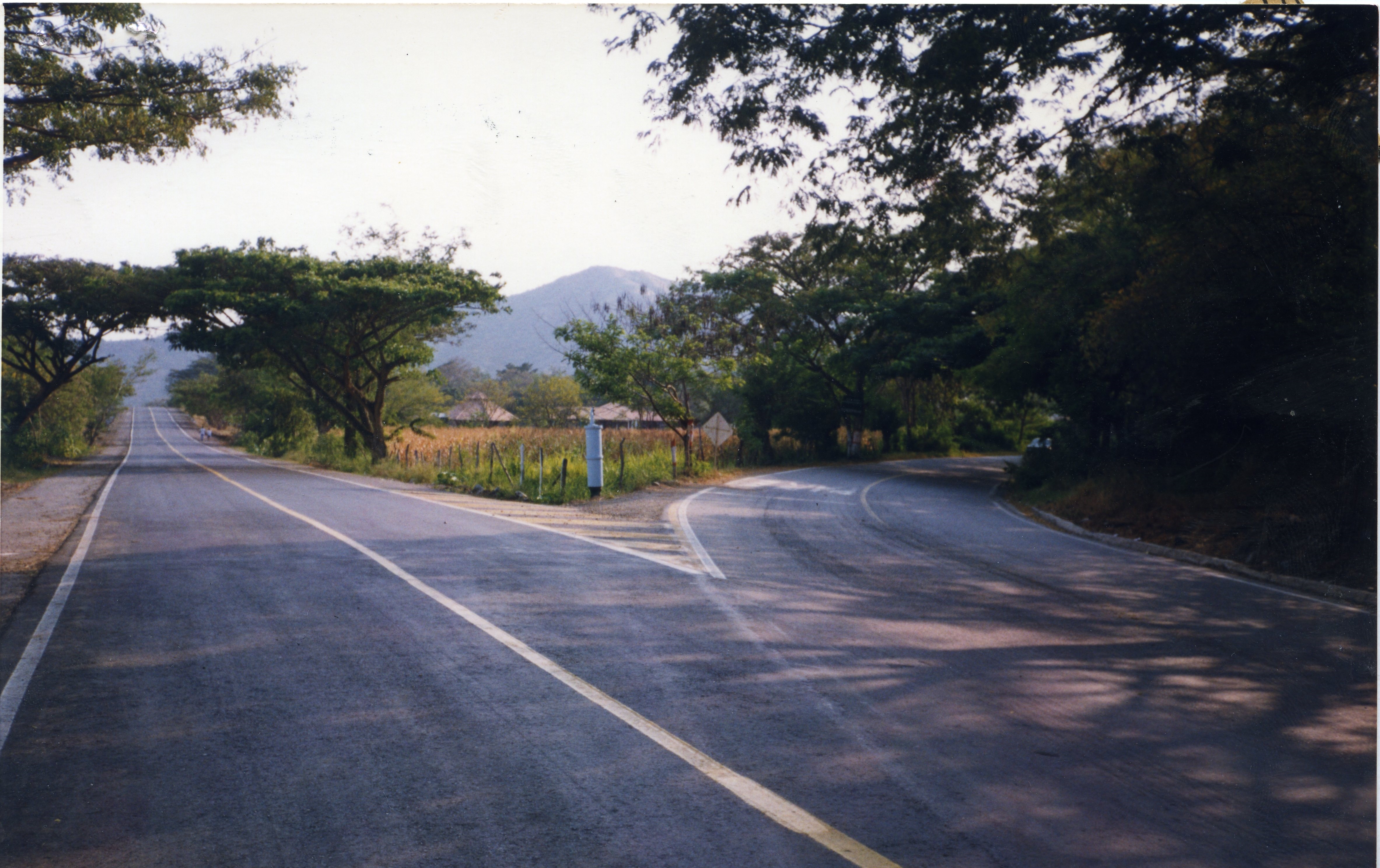 FDO017007.jpg