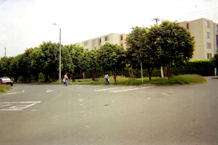 113-00.jpg