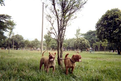 372-23.jpg