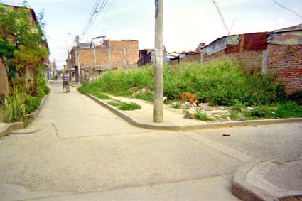 313-6.jpg