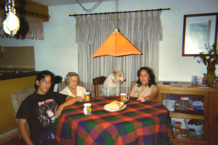 345-18.jpg