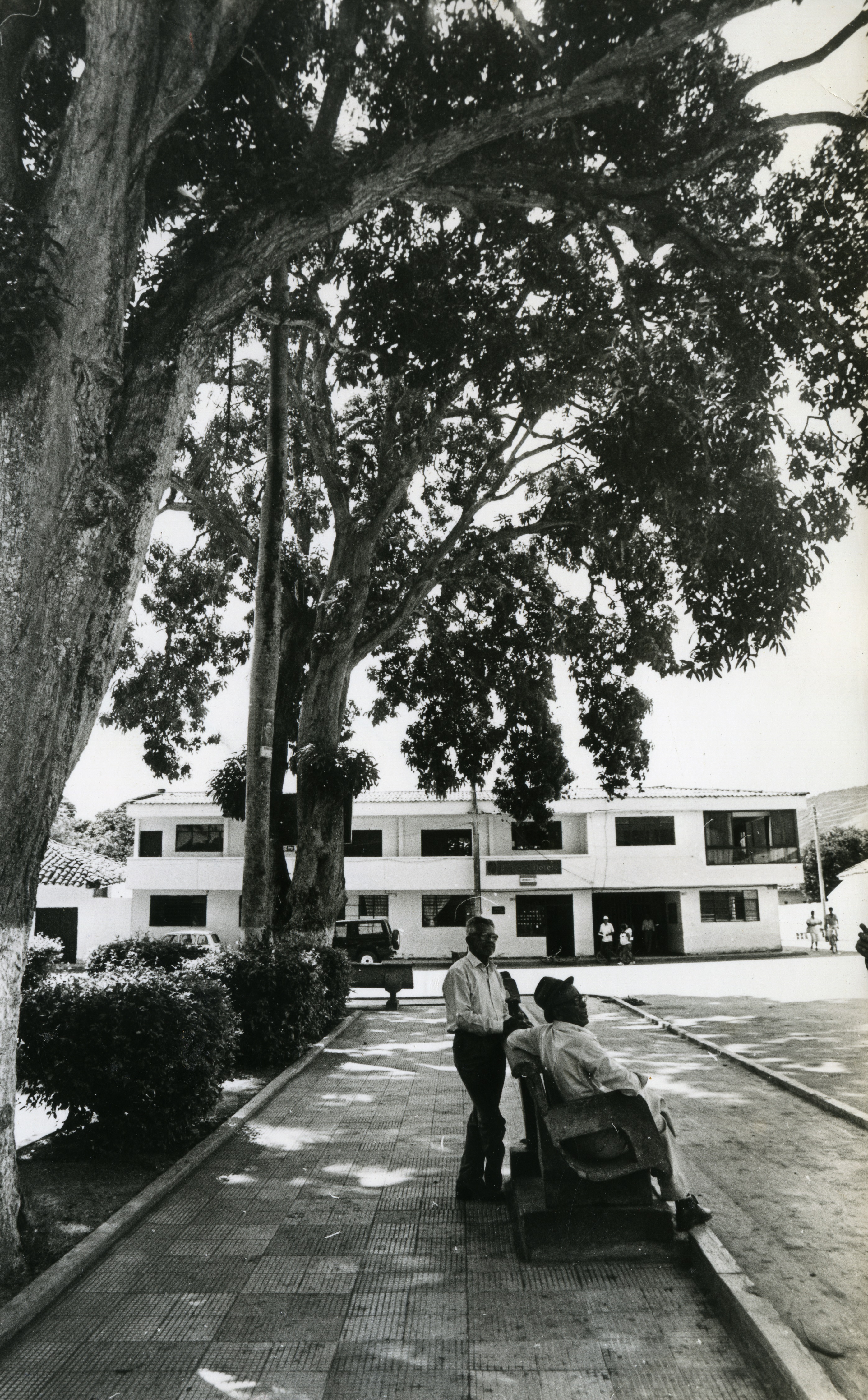 FDO016070.jpg