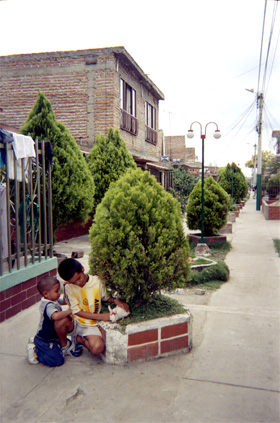 473-3.jpg