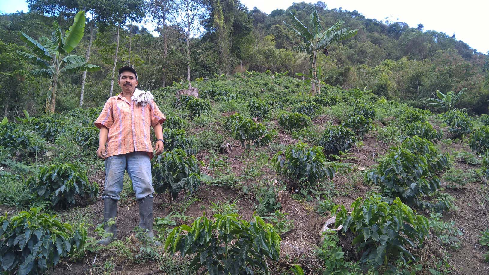 PCCC0983_VEREDA EMBAL.jpg