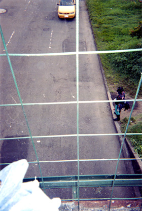 447-2.jpg