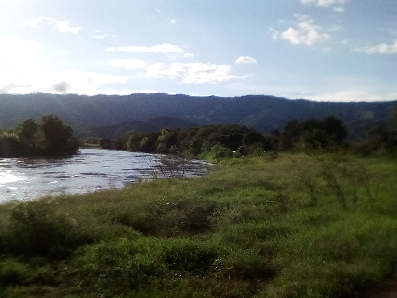 RFV000471.jpg