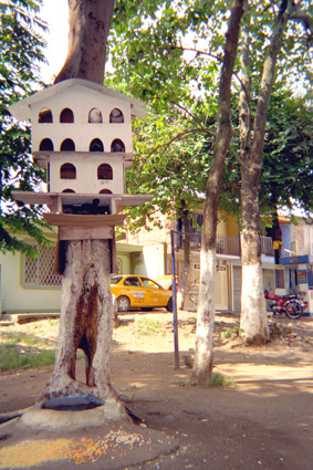 136-12.jpg