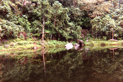 502-13.jpg