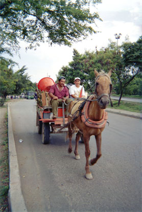 126-5.jpg