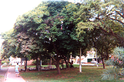 518-22.jpg