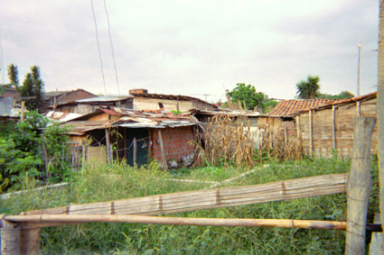 305-9.jpg