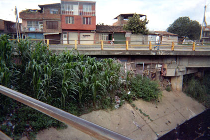 274-4.jpg
