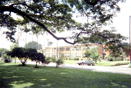 439-23.jpg