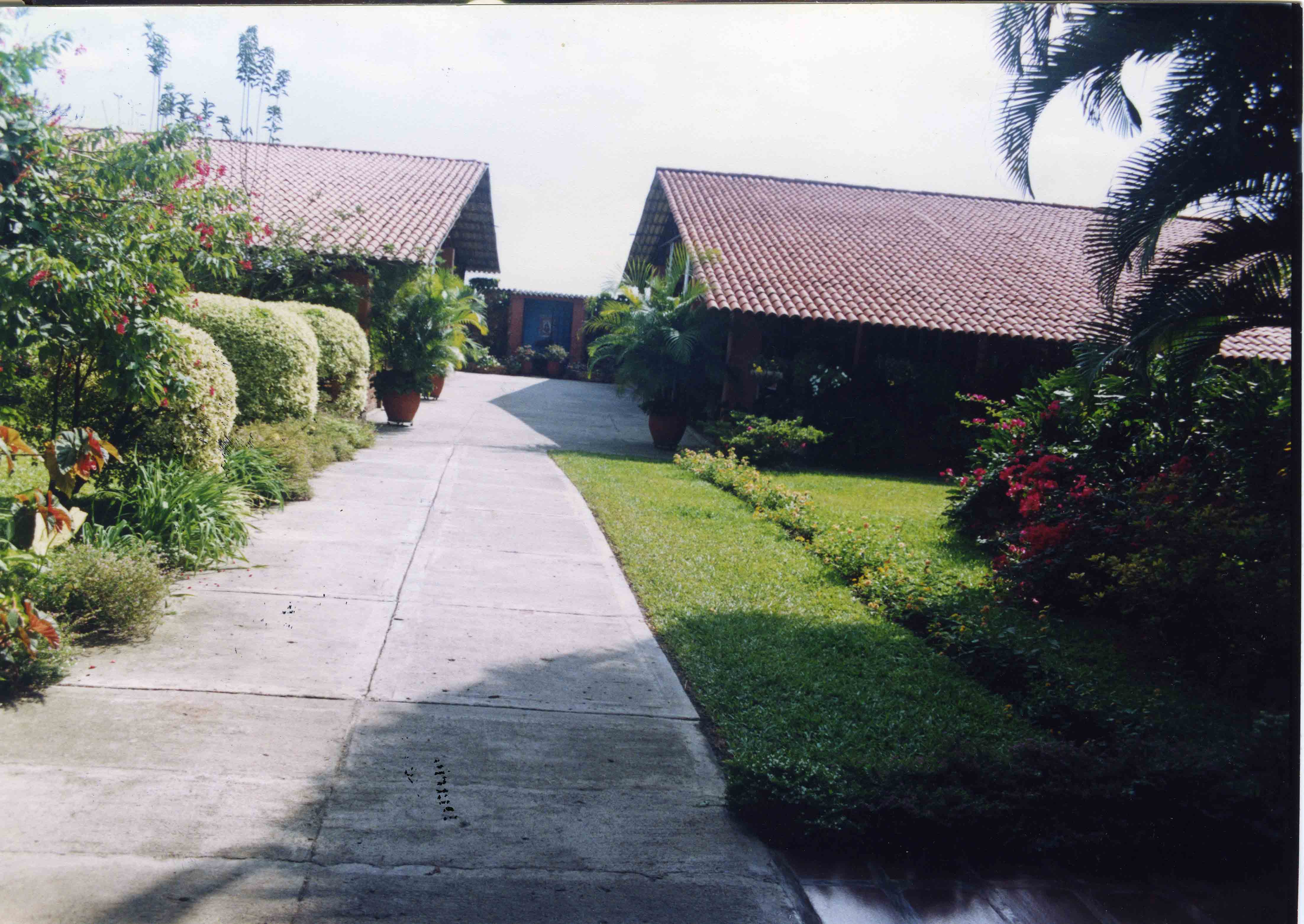 FDO06913.jpg