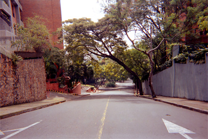 020-3.jpg