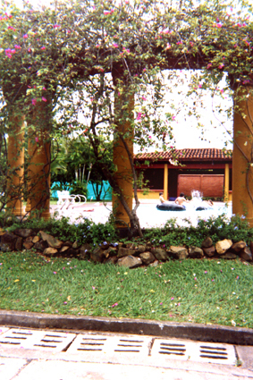 495-25.jpg