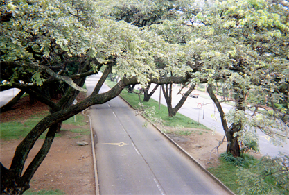 446-23.jpg