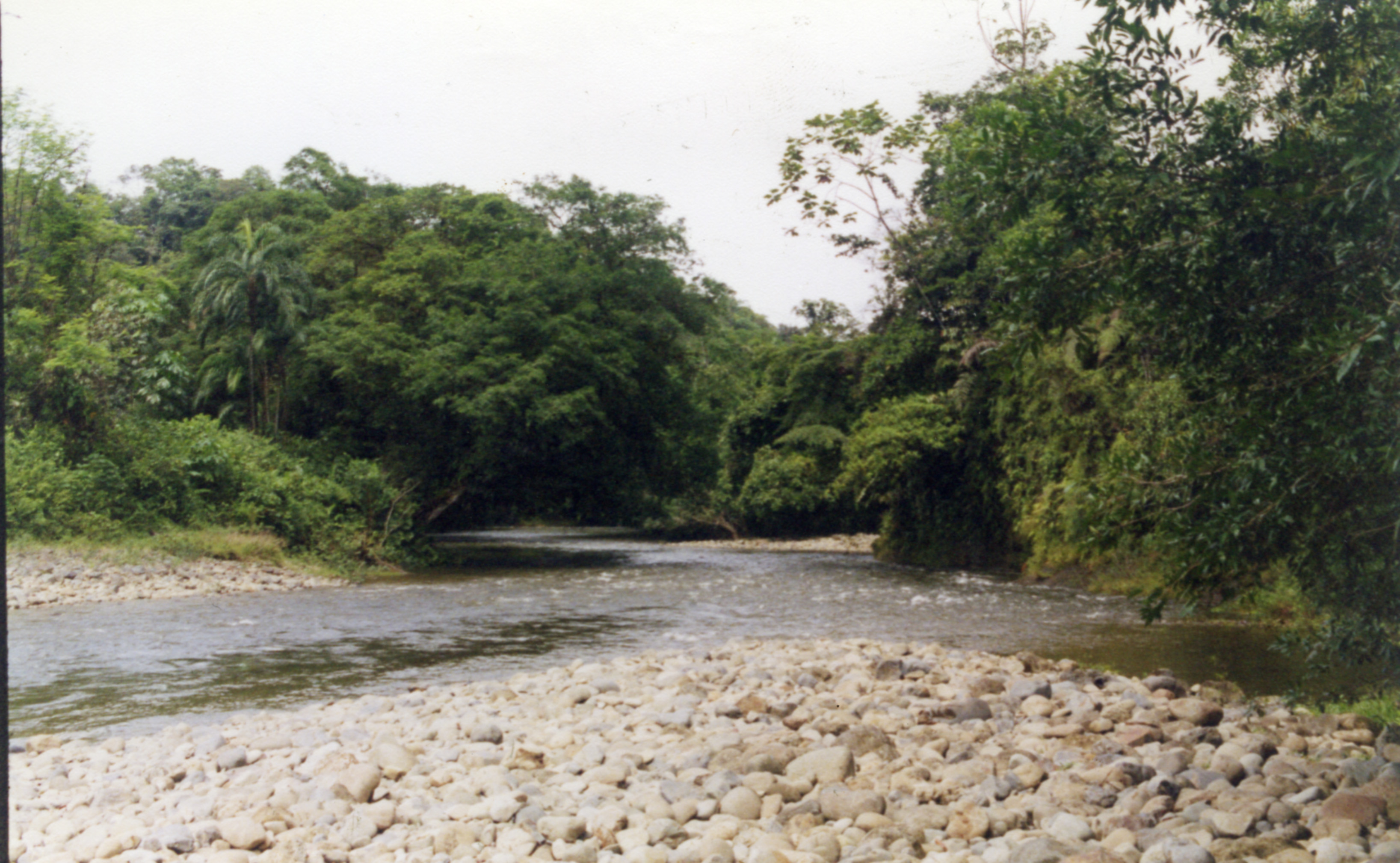 Fdo 011871.jpg