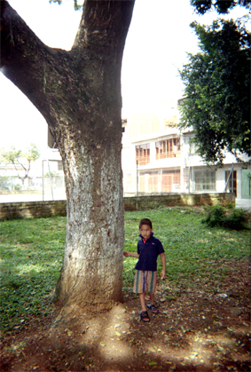 377-6.jpg
