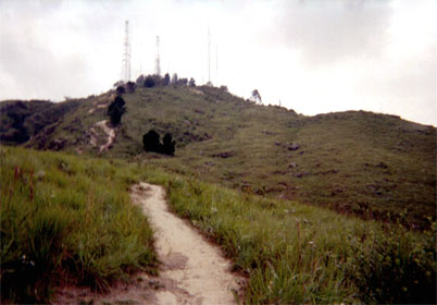 043-8.jpg