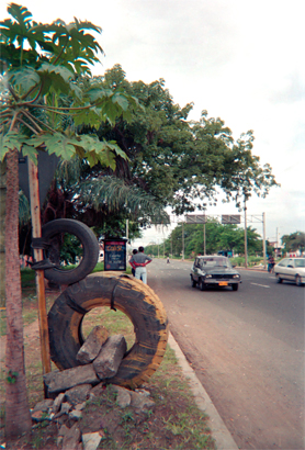 167-15.jpg
