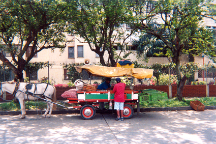 515-29.jpg