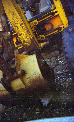 219-19.jpg