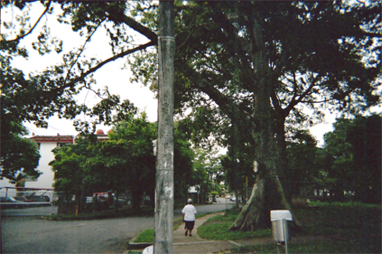 354-3.jpg
