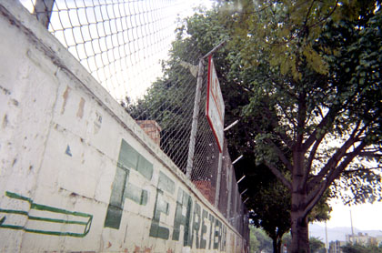 361-20.jpg