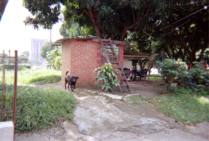 444-30.jpg