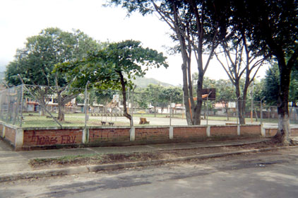 384-28.jpg