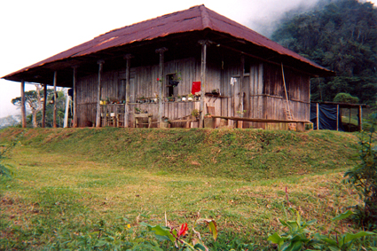 506-23.jpg
