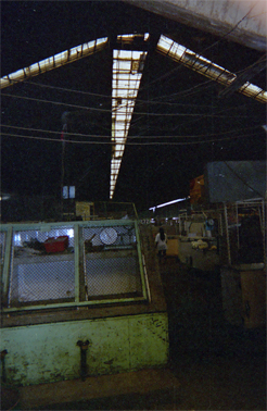 203-10.jpg