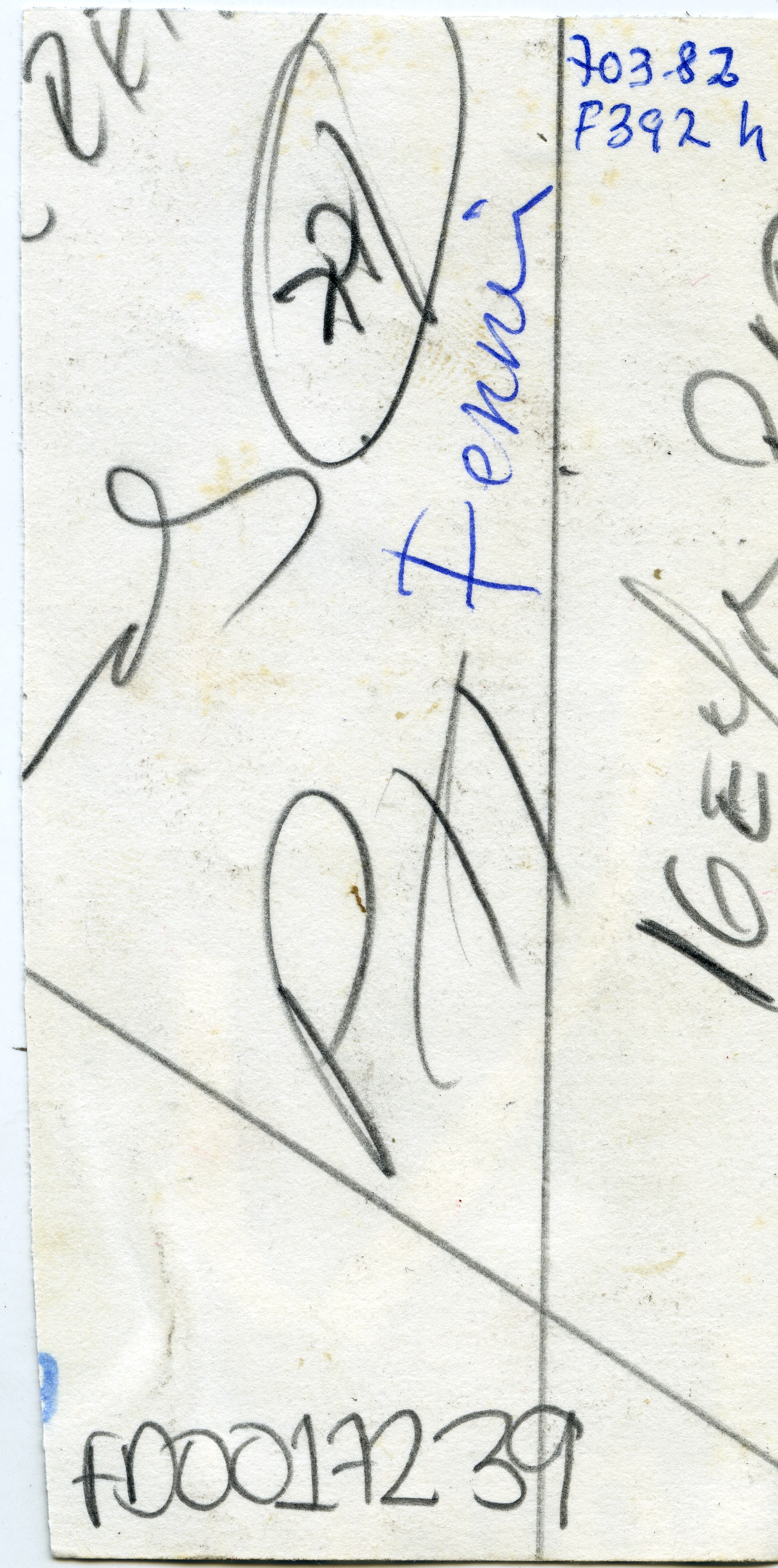 FDO017239A.jpg