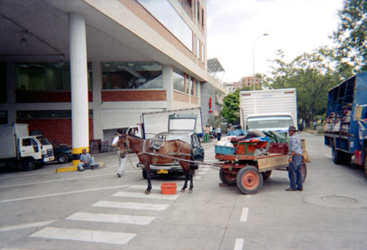 431-22.jpg
