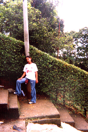 496-4.jpg