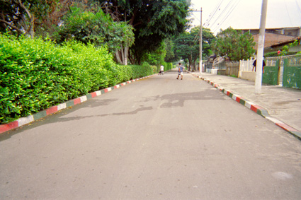 266-10.jpg