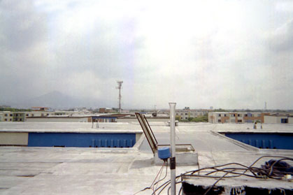 361-4.jpg
