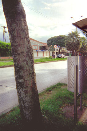 362-00.jpg