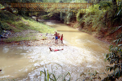 351-19.jpg
