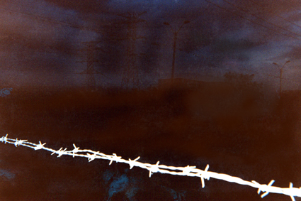 479-14.jpg